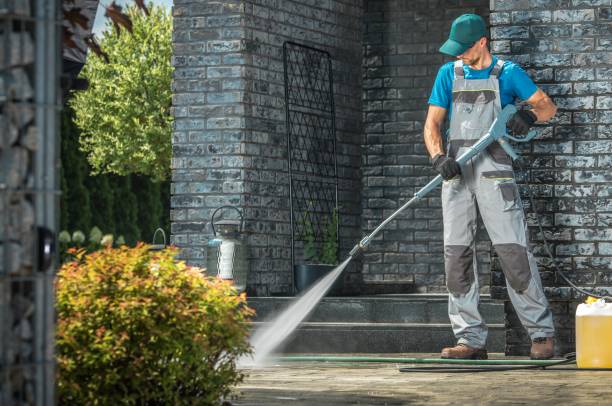 Animal Enclosure Cleaning in Park Forest, IL